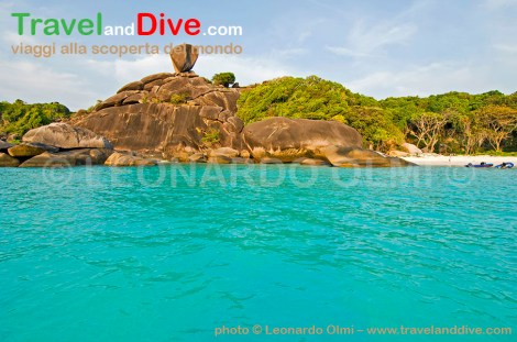 dsc_0262-tif-copia-copy