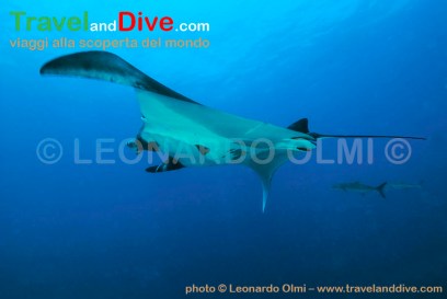 dsc_3303-tif-copia-copy