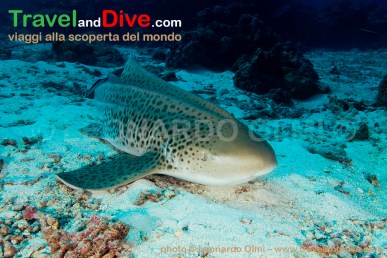 dsc_3322-tif-copia-copy