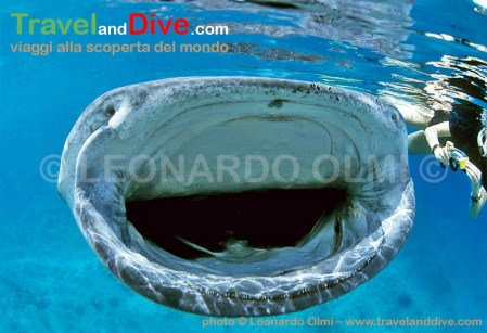 maldives-2-7-tif2-copia-copy