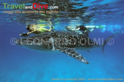 maldives-3-14-tif-copia-copy