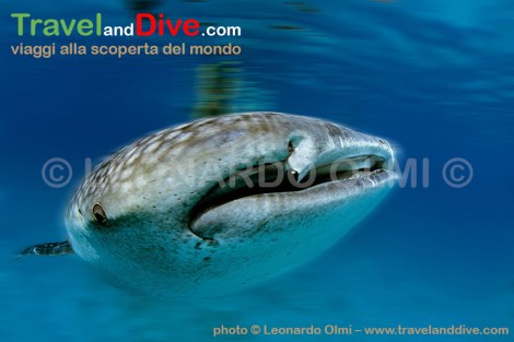 mar-rosso-2-16-tif-blur-copia-copy