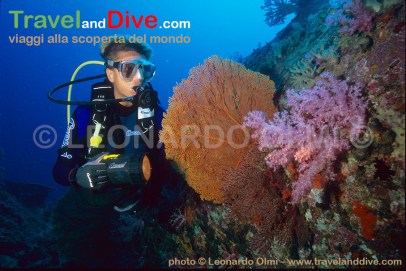 similan-6-19-tif-copia-copy