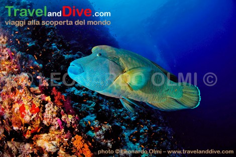 dsc_0801-tif-copia-copy