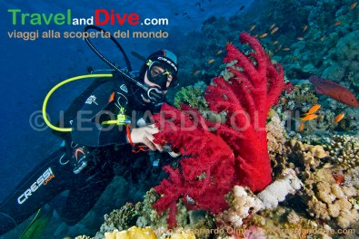 dsc_1749-tif-copia-copy