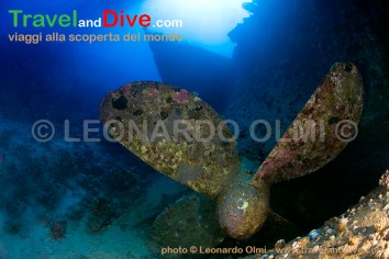 dsc_9715-tif-copia-copy