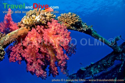 dsc_9761-tif-copia-copy