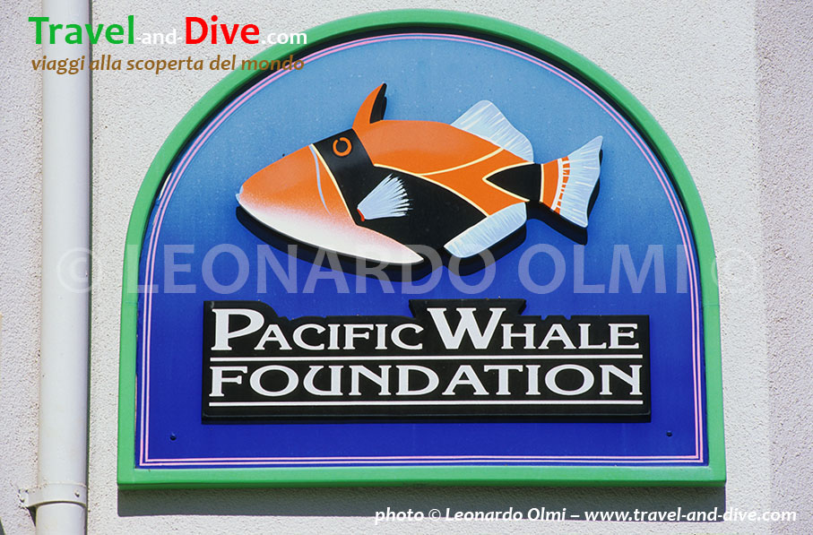 (102-14) TIF copia copy