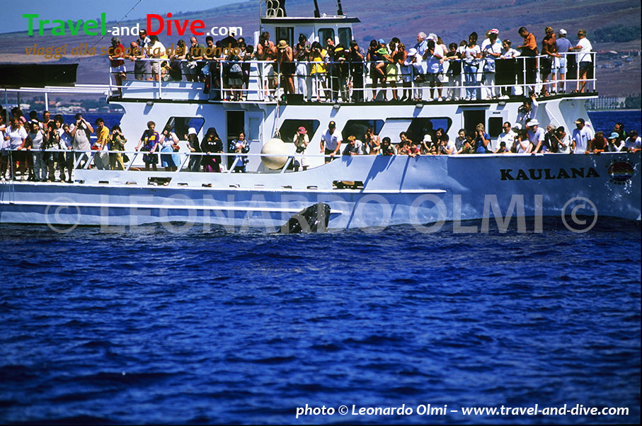 (30-6) TIF copia copy