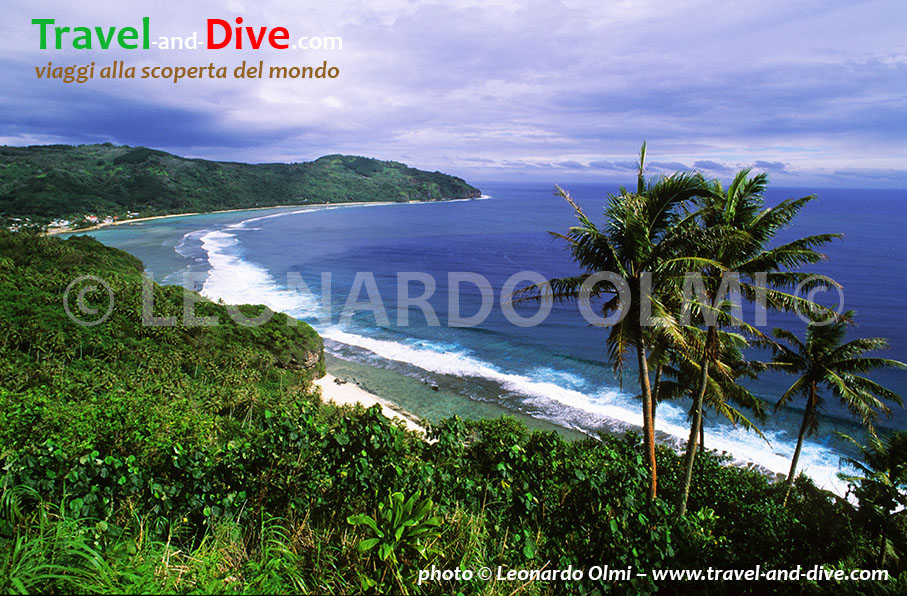 (4-8) TIF copia copy