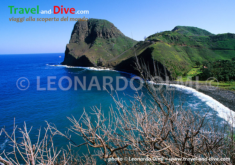 (53-18) TIF copia copy