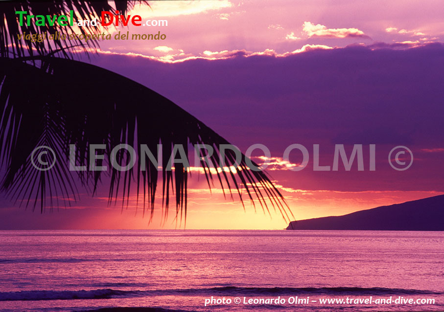 (99-13) TIF copia copy