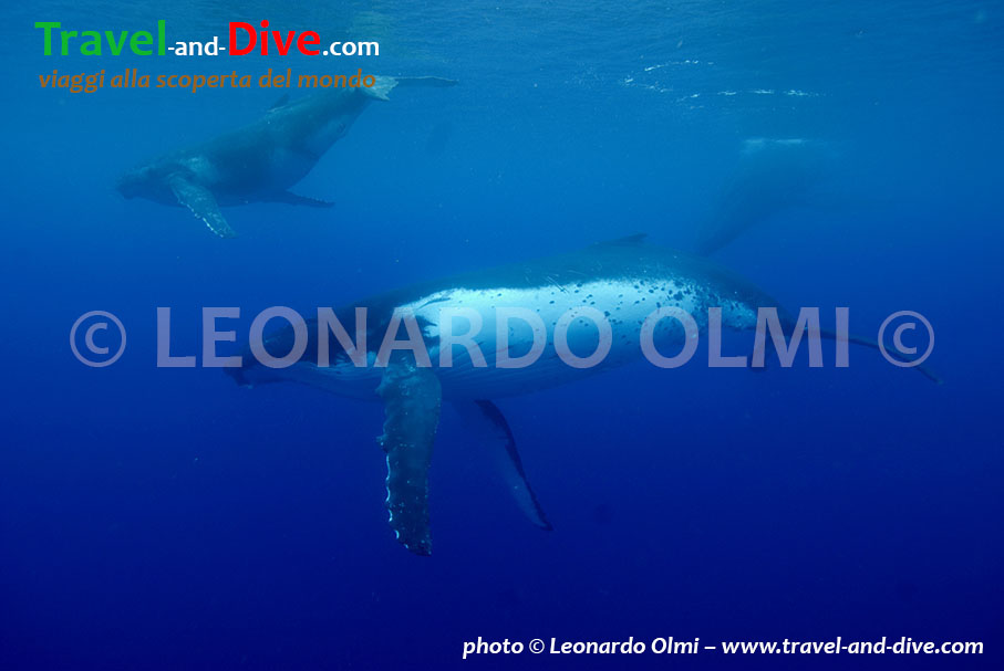 DSC_5419 bis TIF copia copy