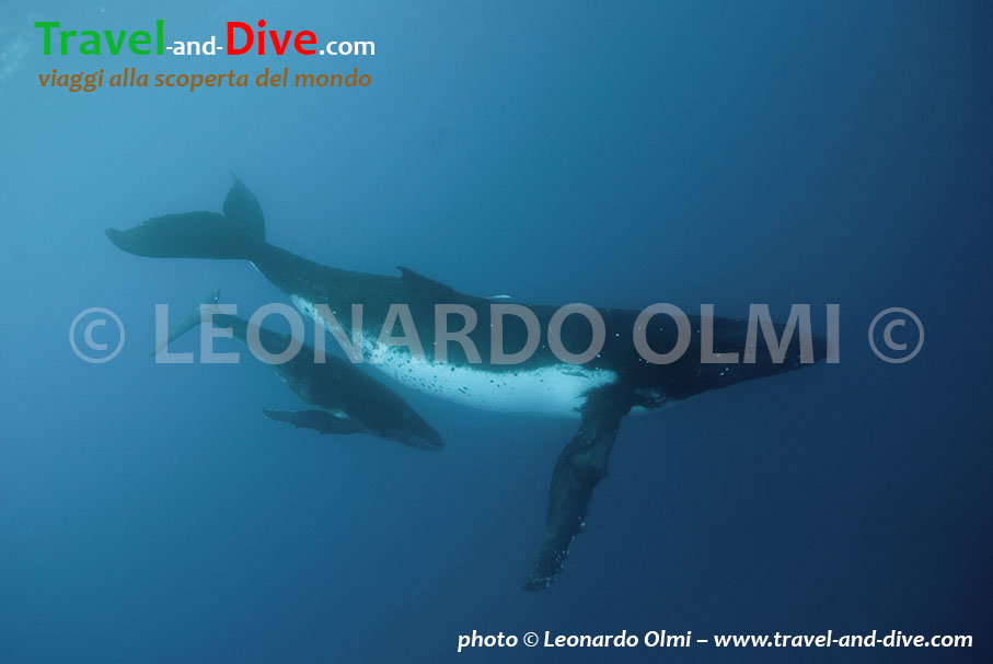 DSC_5498 TIF copia copy