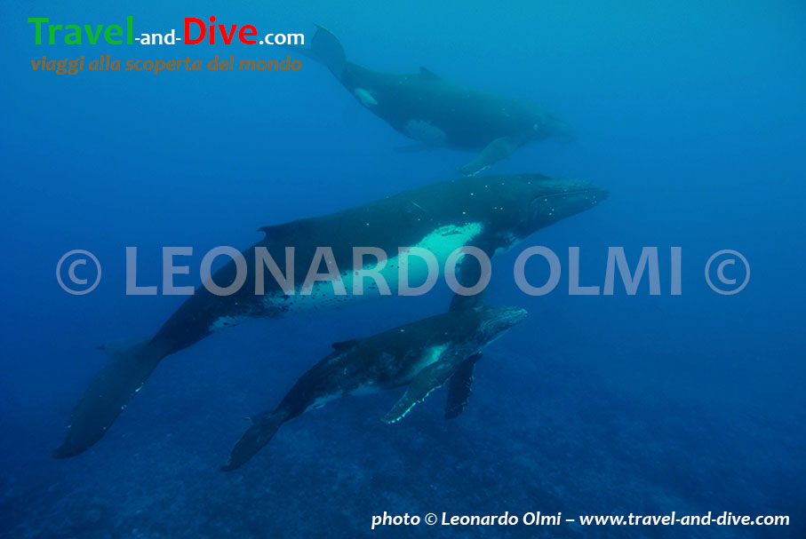 DSC_5548 TIF 2 copia copy