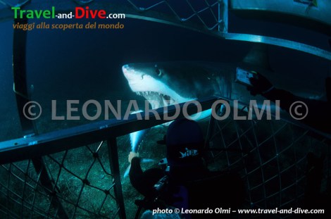 (20-8) TIF copia copy