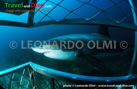 (21-2) TIF copia copy