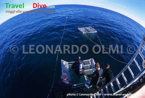 (22-5) TIF copia copy