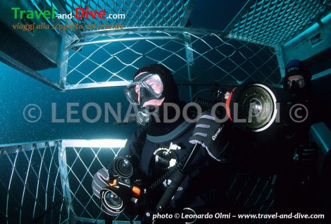 (22-8) TIF copia copy