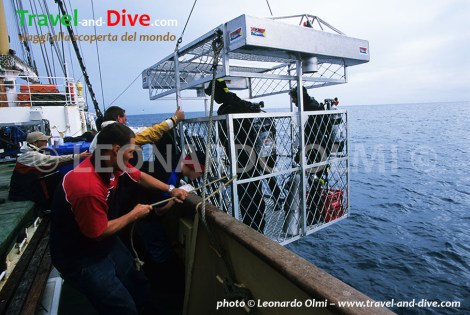 (23-18) TIF copia copy