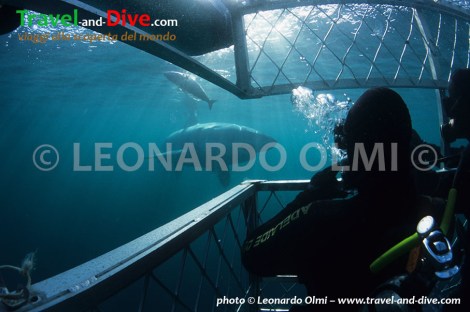 (4-11) TIF copia copy