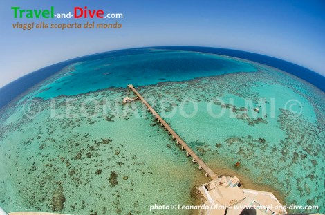 DSC_1274 TIF copia copy.jpg