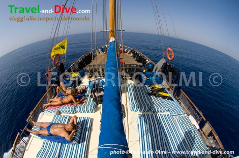 Sudan, San Marco sailboat, suntaning on upper dock DSC_1964 TIF copia copy.jpg